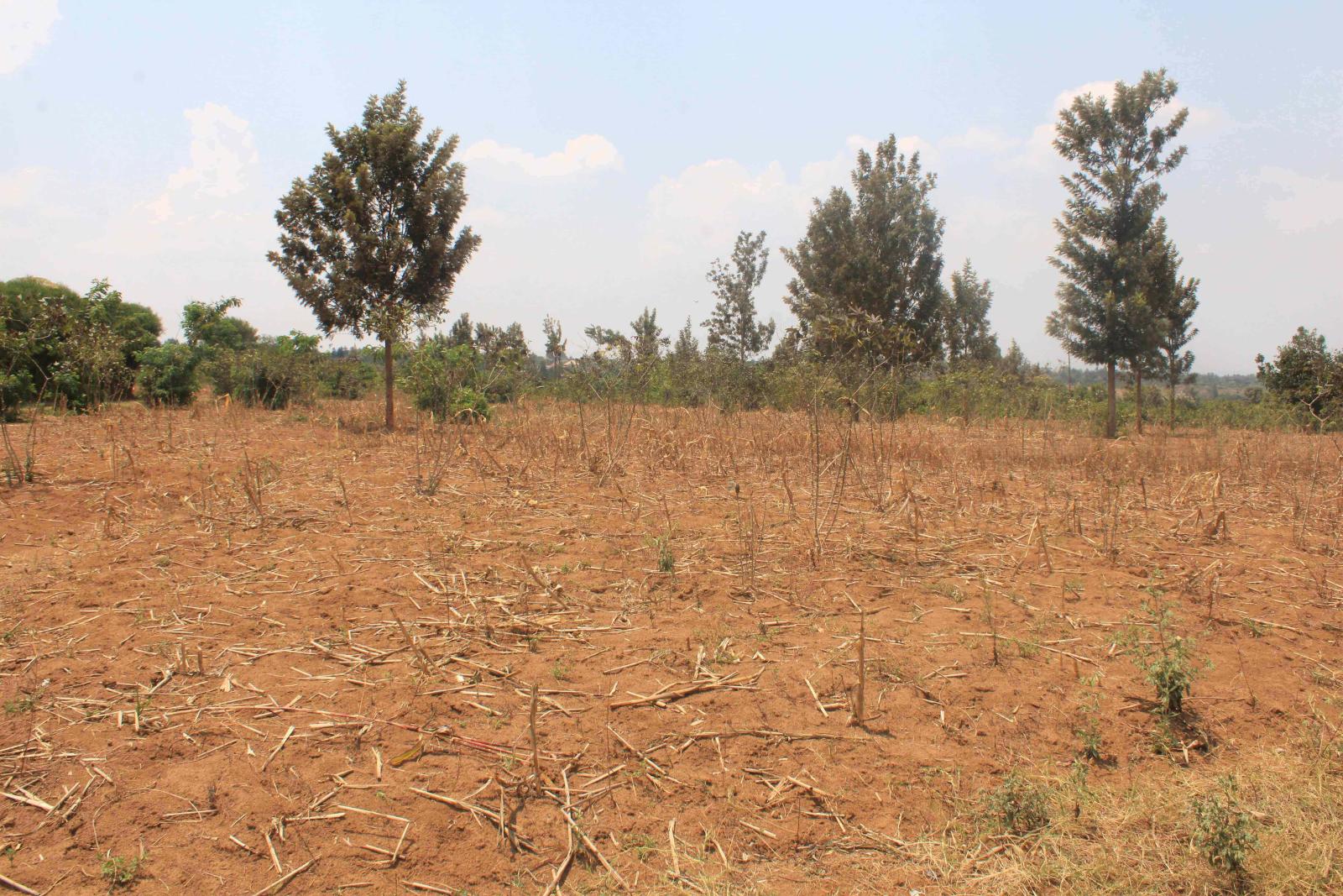 Land for sale in Bugesera near ariport of Rwanda good location
