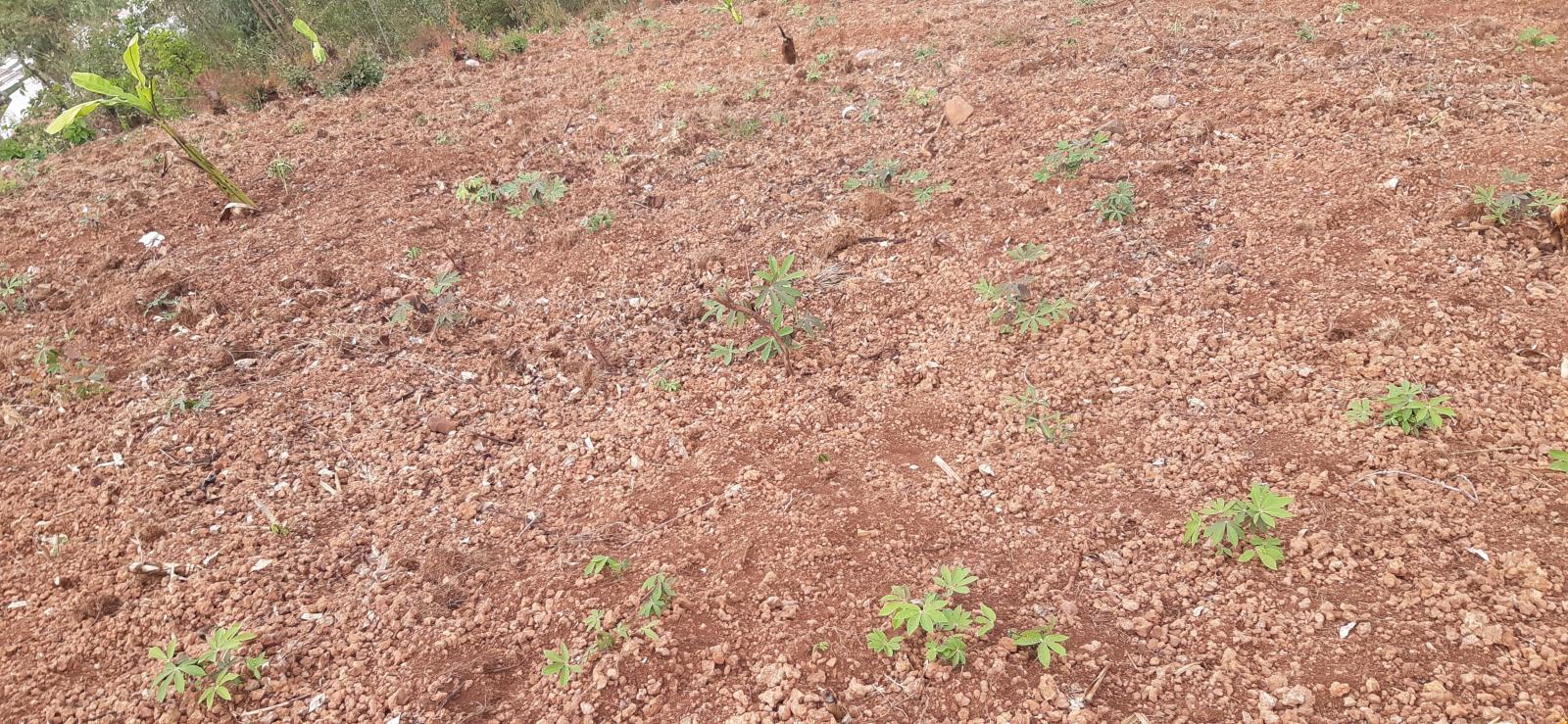 Land for sale in Bugesra Nemba near Industrial zoning