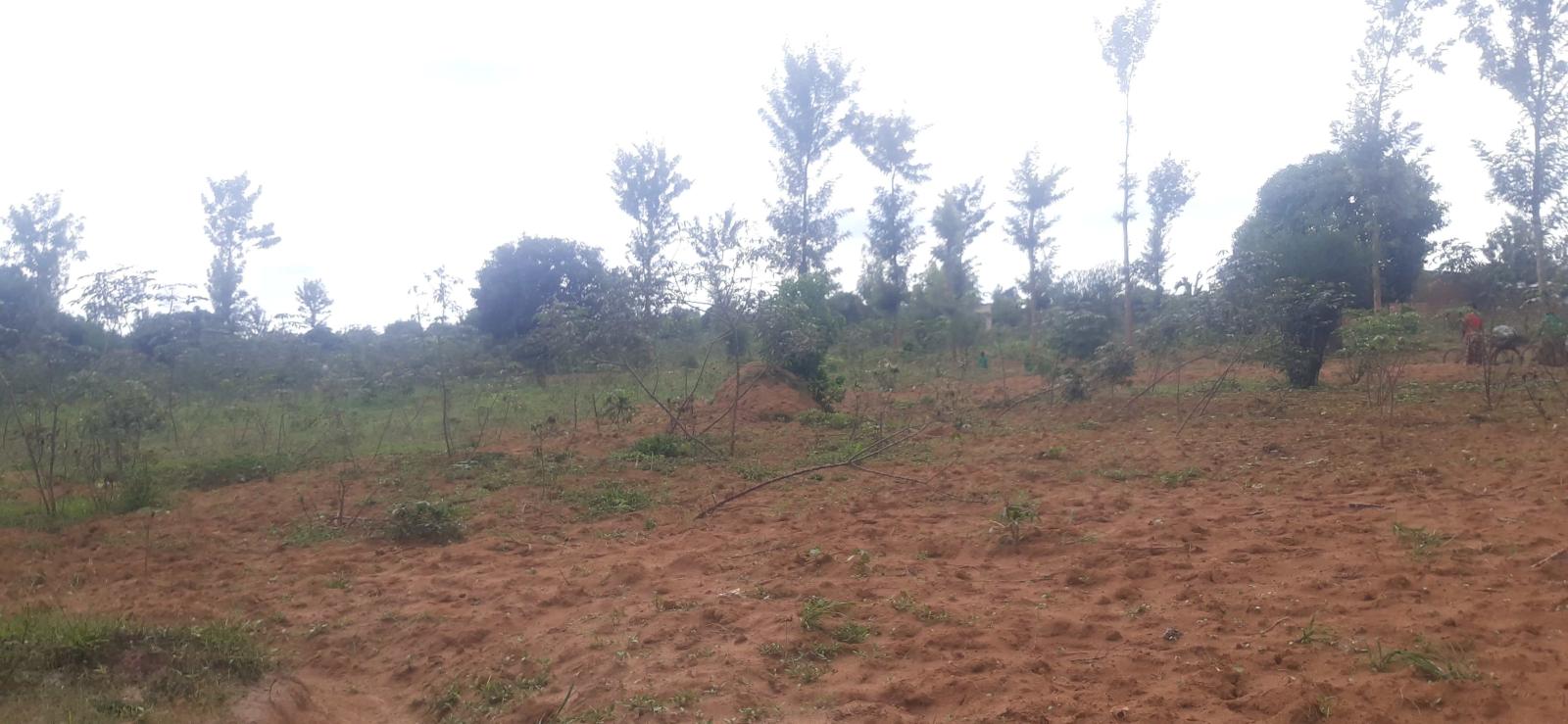 Plot for sale in Bugesera near airport of Rwanda Kabeza