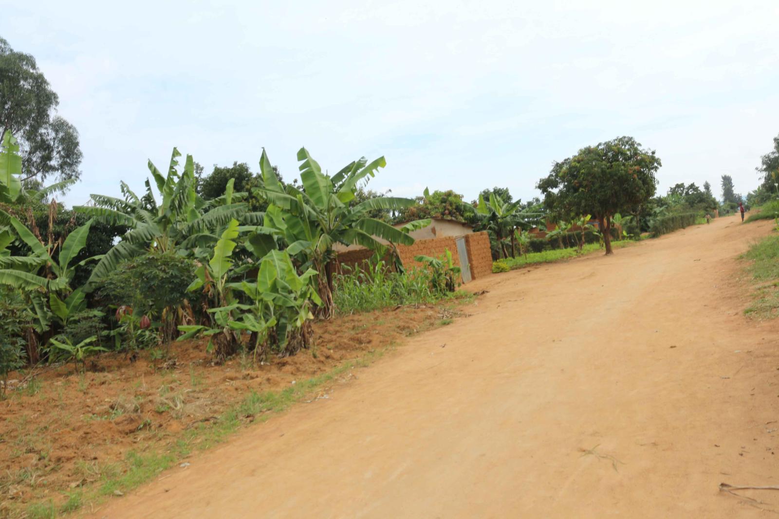 Residential plot for sale in Shyorongi Near main road on top mountain