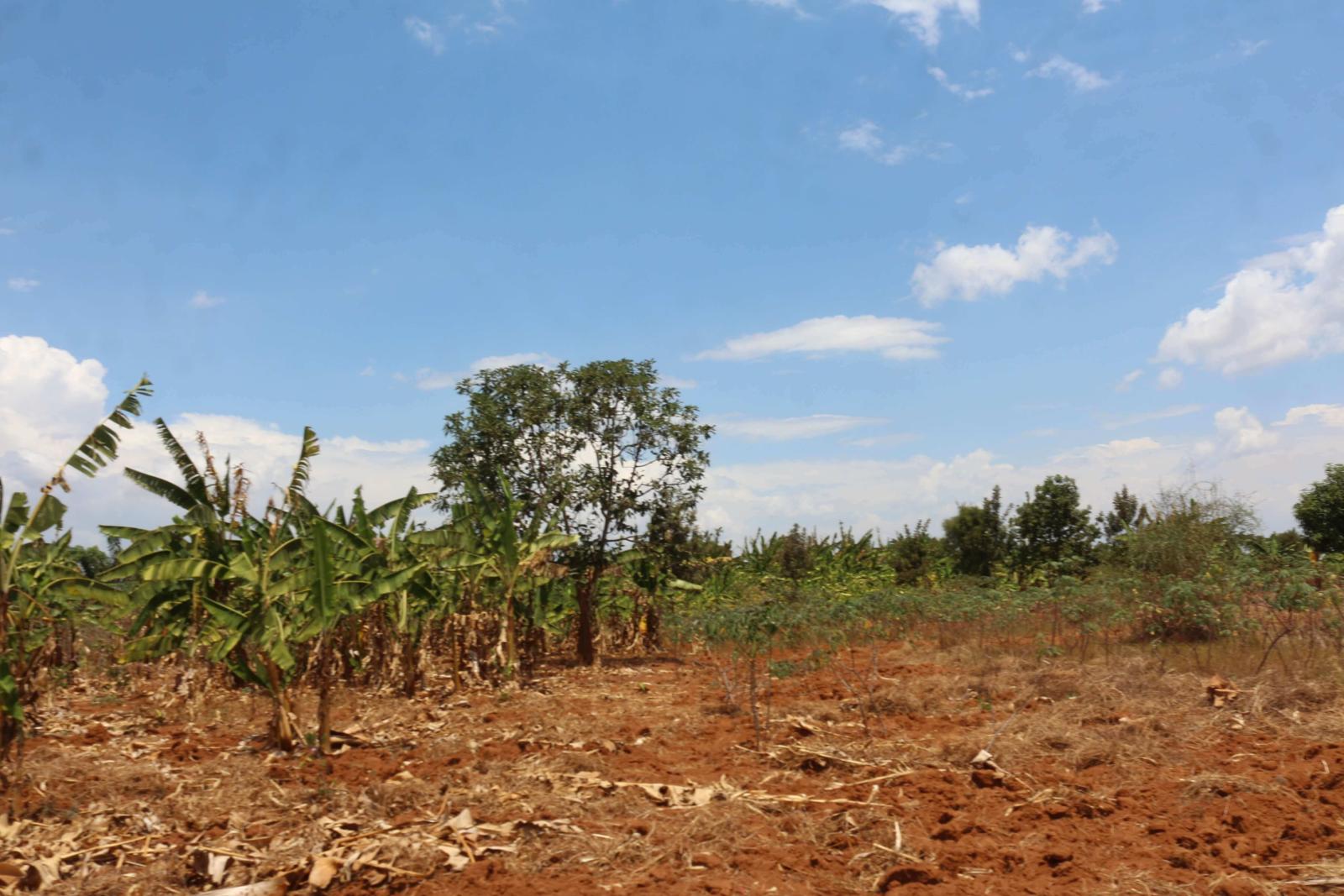 Residential land for sale in Bugesera near airport of Rwanda view of Airport