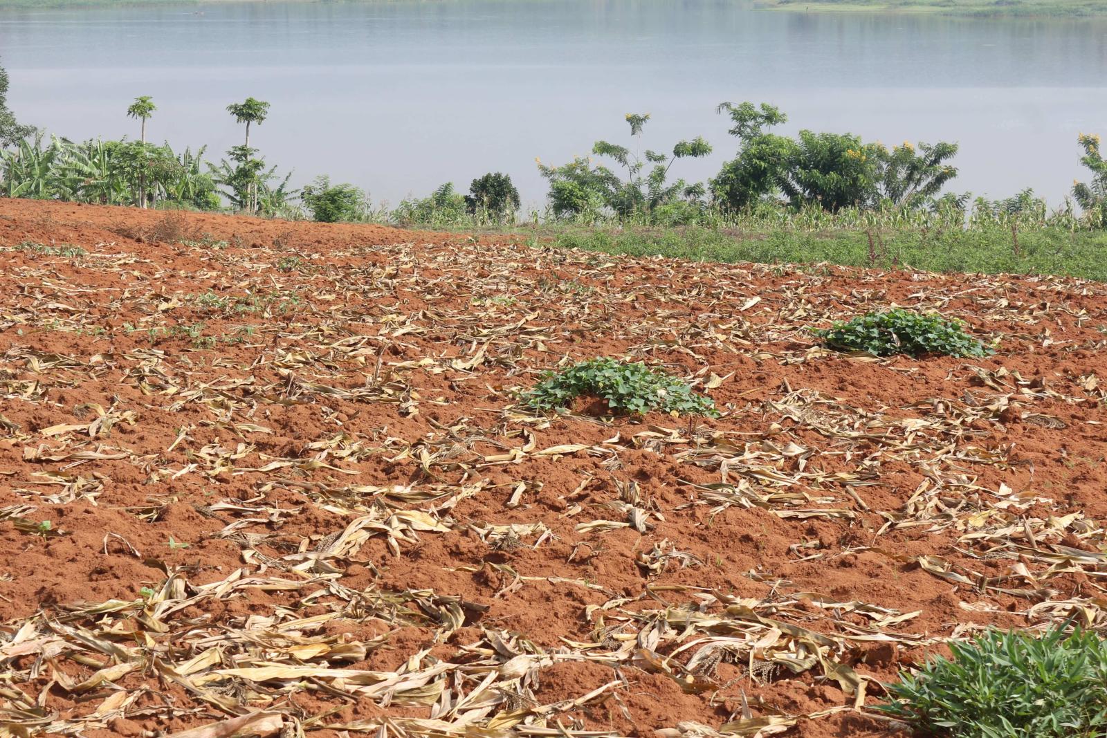 Land for sale in Bugesera near airport of Rwanda access on a lake