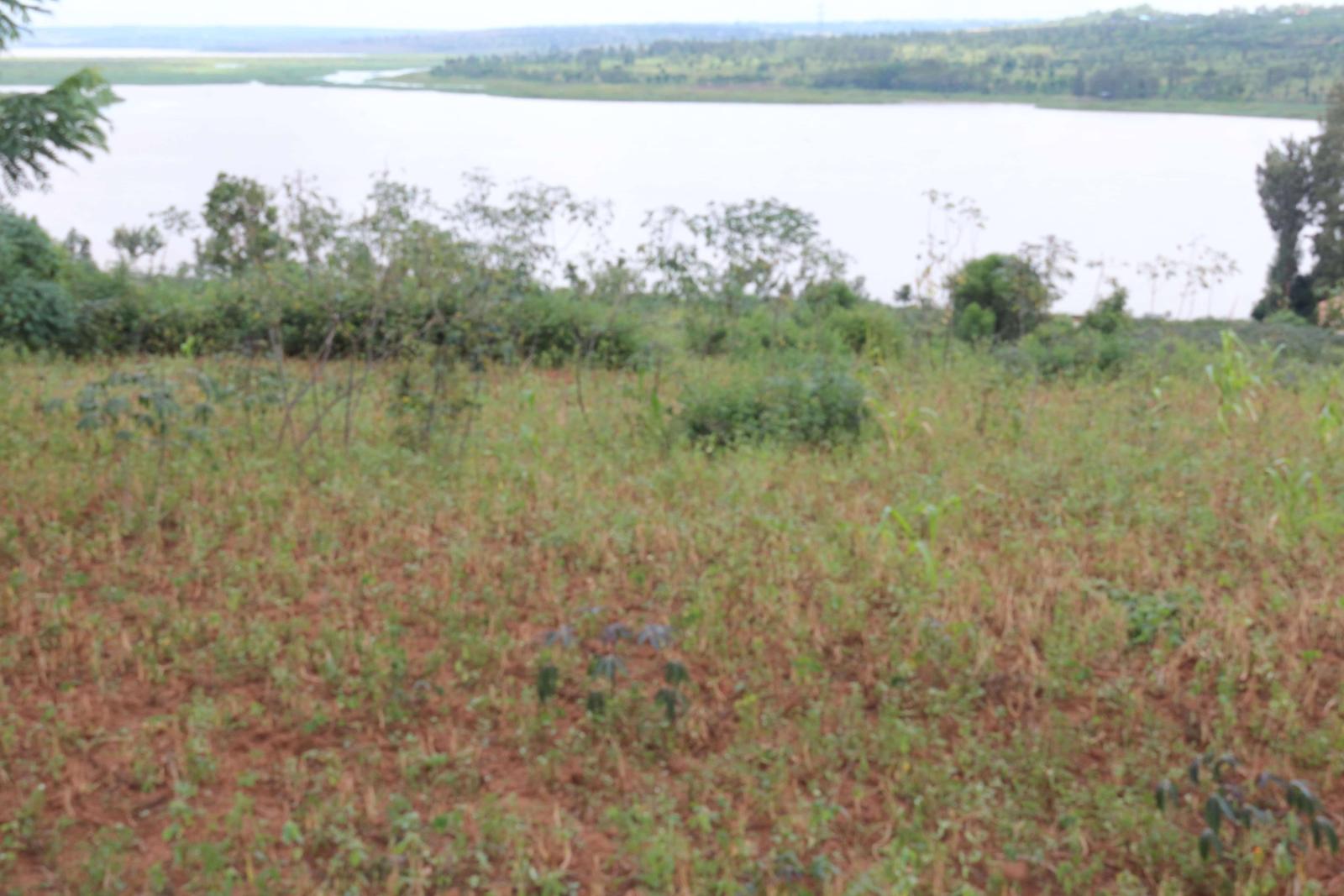 Land for sale in Ngoma Access on lake good water Good deal RUkumberi  Land access on lake