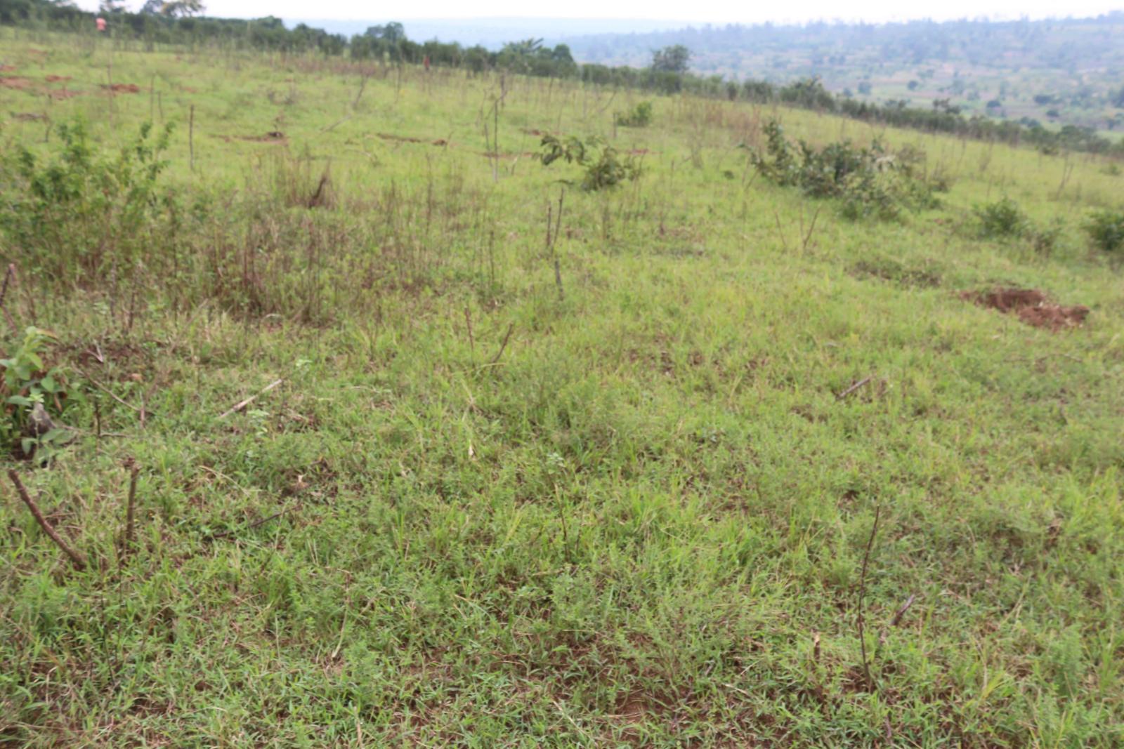We are pleased to offer a prime hotel development land for sale located in Nyarugenge Kanyinya , Rwanda, in a strategic and attractive area near on top Mountain  BookHotels  Property Details: Realesta