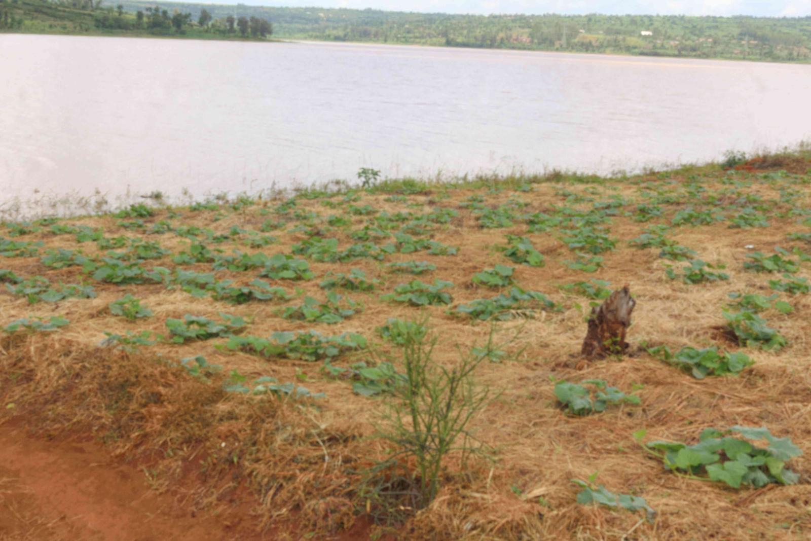 Land for sale in Bugesera Rilima and Formula one near Bugesera airport Rwanda access on lake