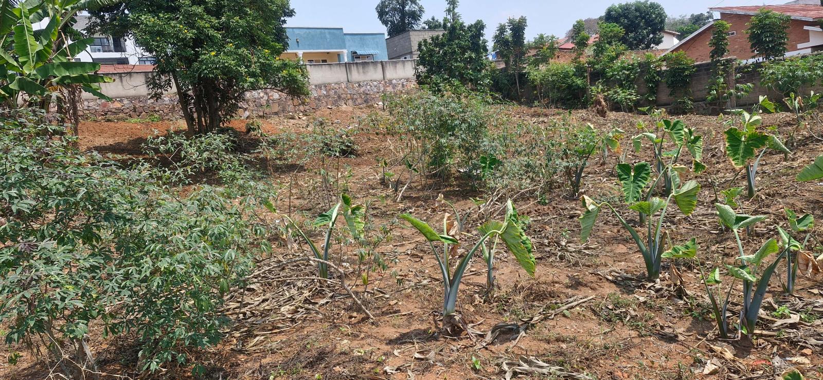 Residential Land for Sale in Bugesera, Near the Airport: Hot Deal Rilima
