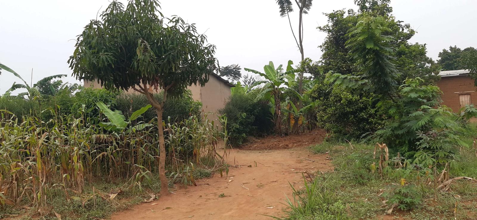 Residential Land for Sale in Bugesera, Near the Airport: Hot Deal Rilima