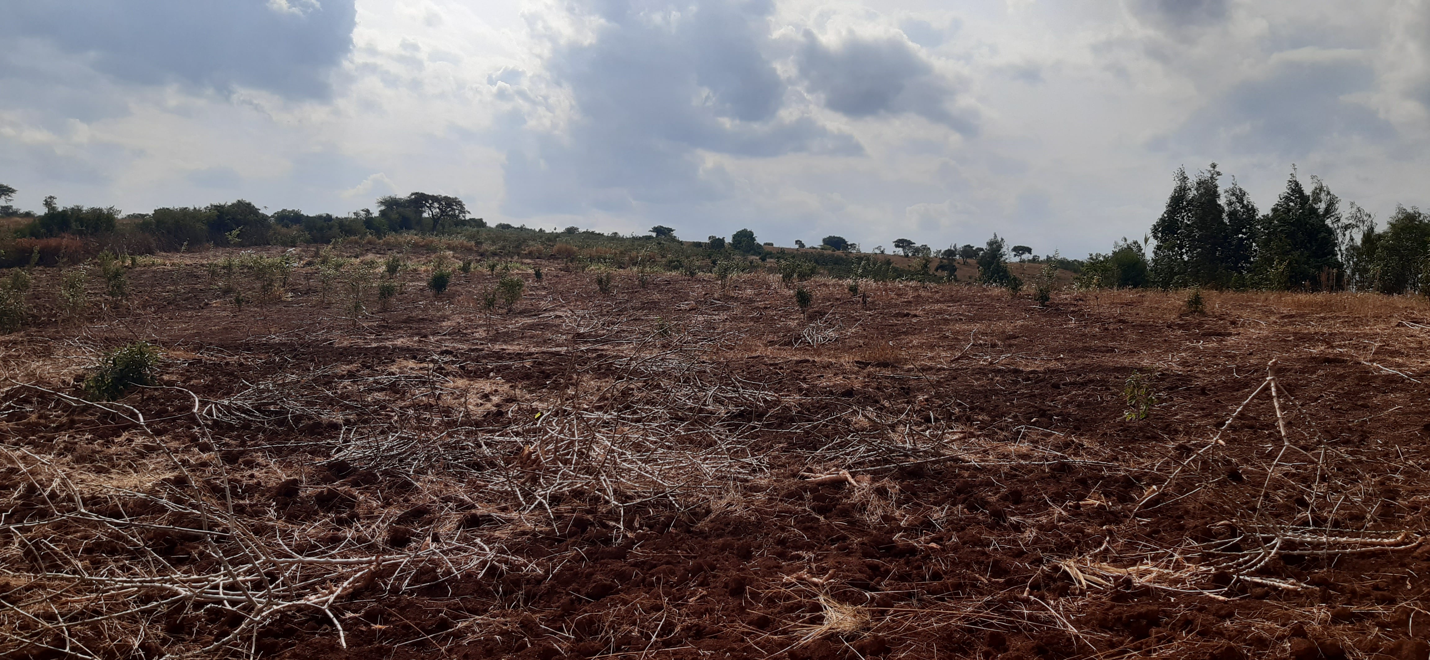 Industial land for sale in Gahanga Kigali Rwanda 1