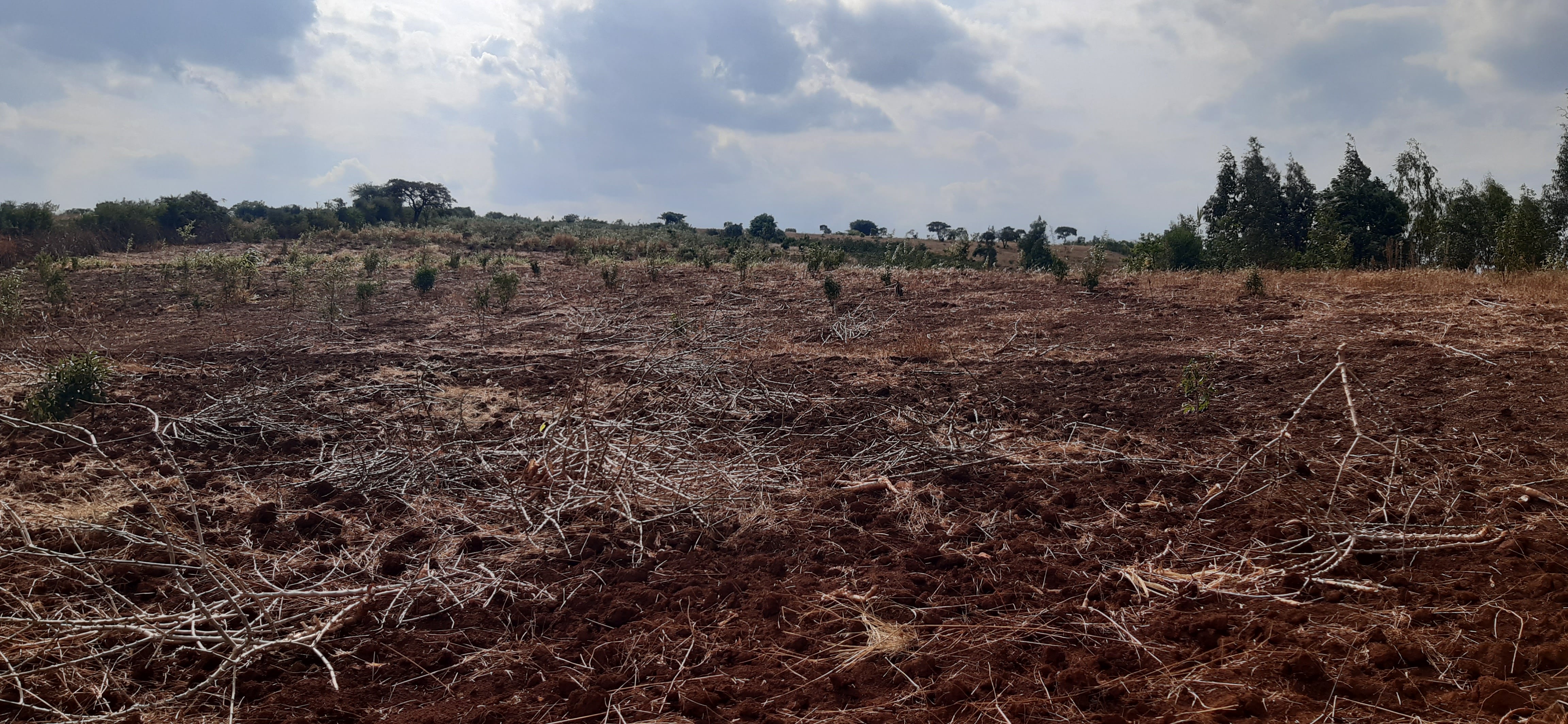 Industial land for sale in Gahanga Kigali Rwanda
