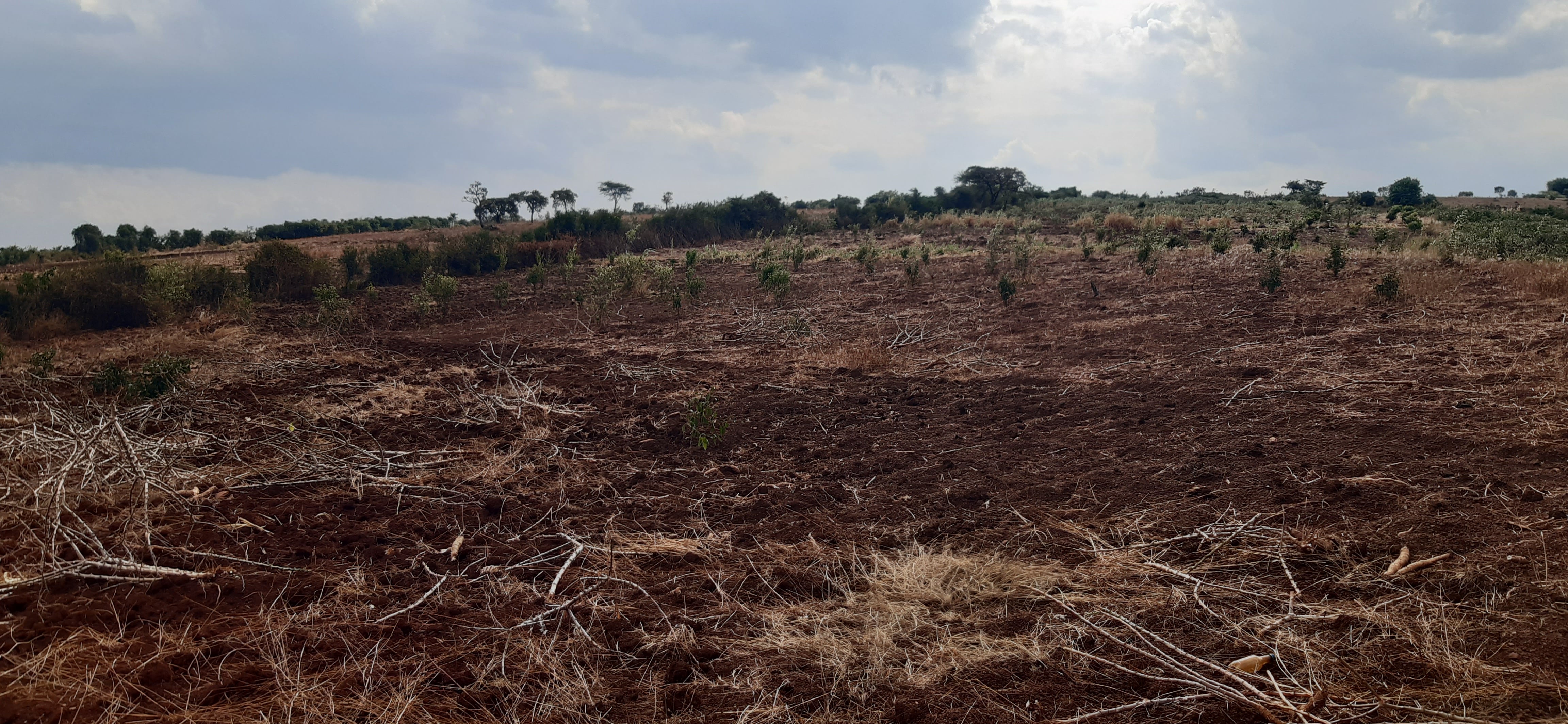 Industial land for sale in Gahanga Kigali Rwanda 2