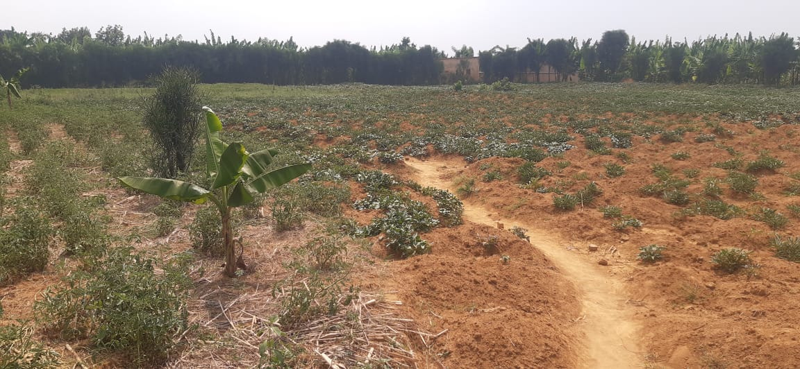 Industial land for sale in Bugesera near airport of Rwanda 2