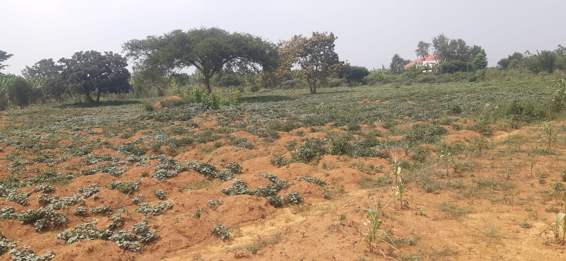 Industial land for sale in Bugesera near airport of Rwanda 3