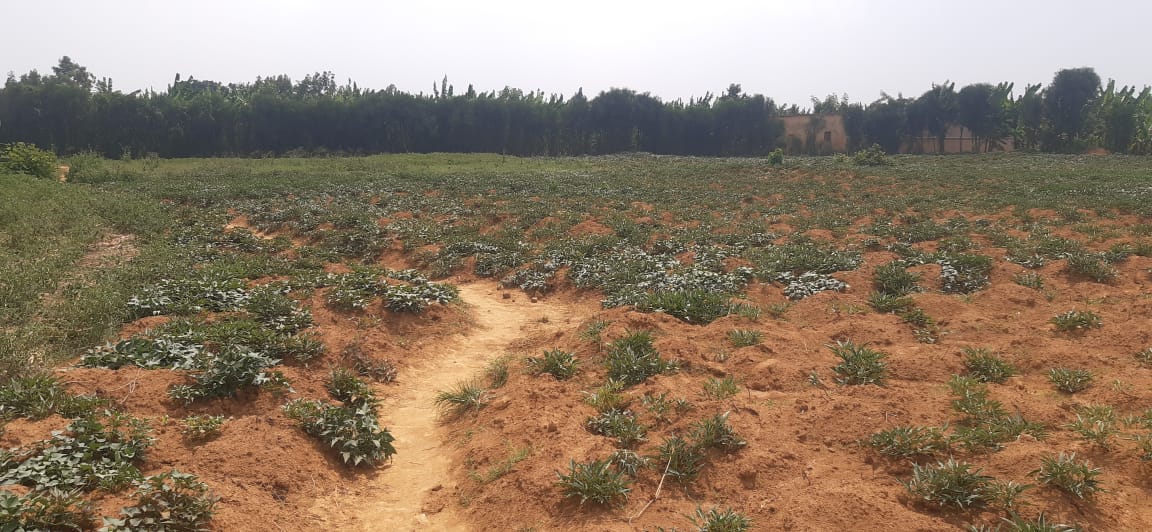 Industial land for sale in Bugesera near airport of Rwanda