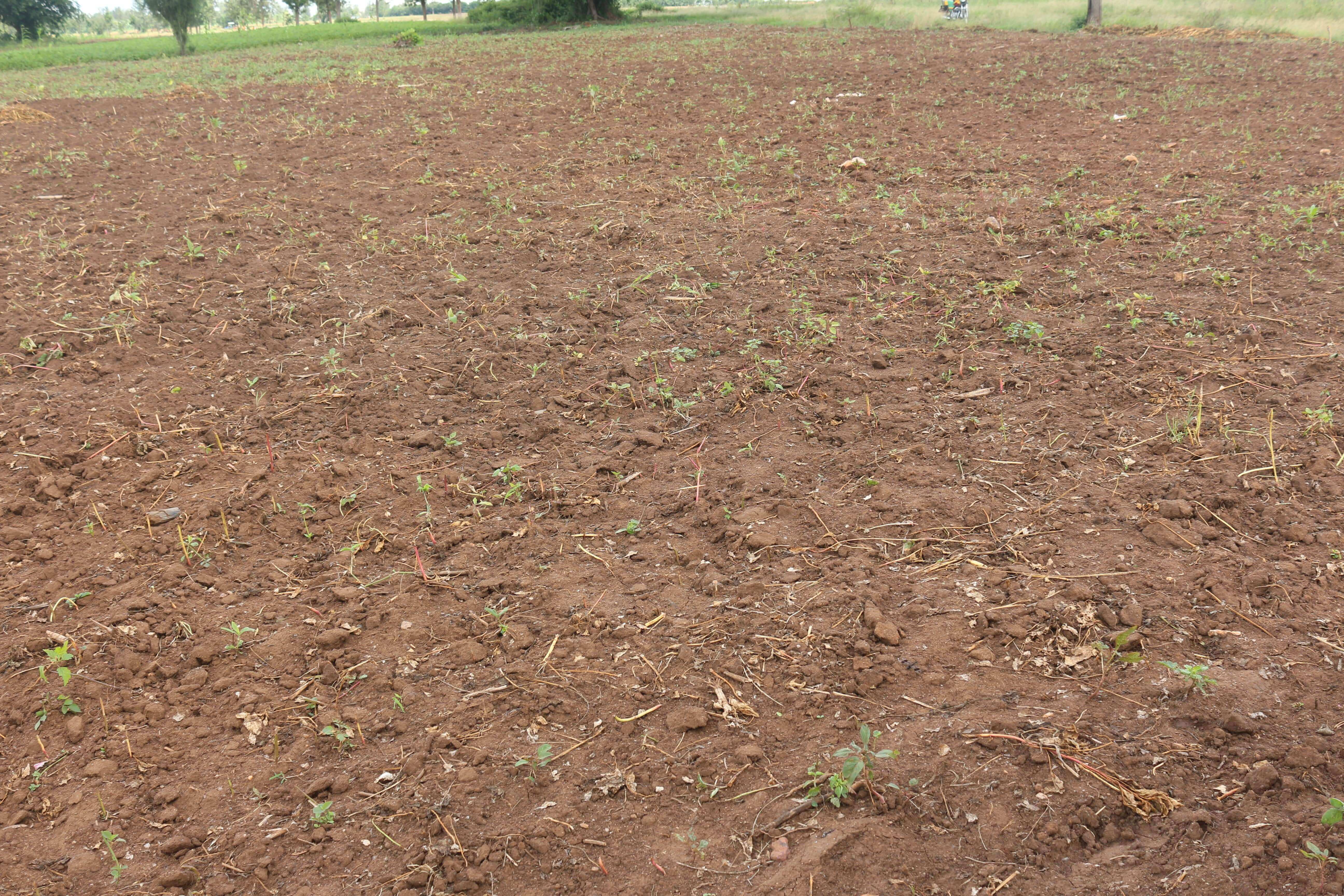 Land for sale in Bugesera near airport of Rwanda 2