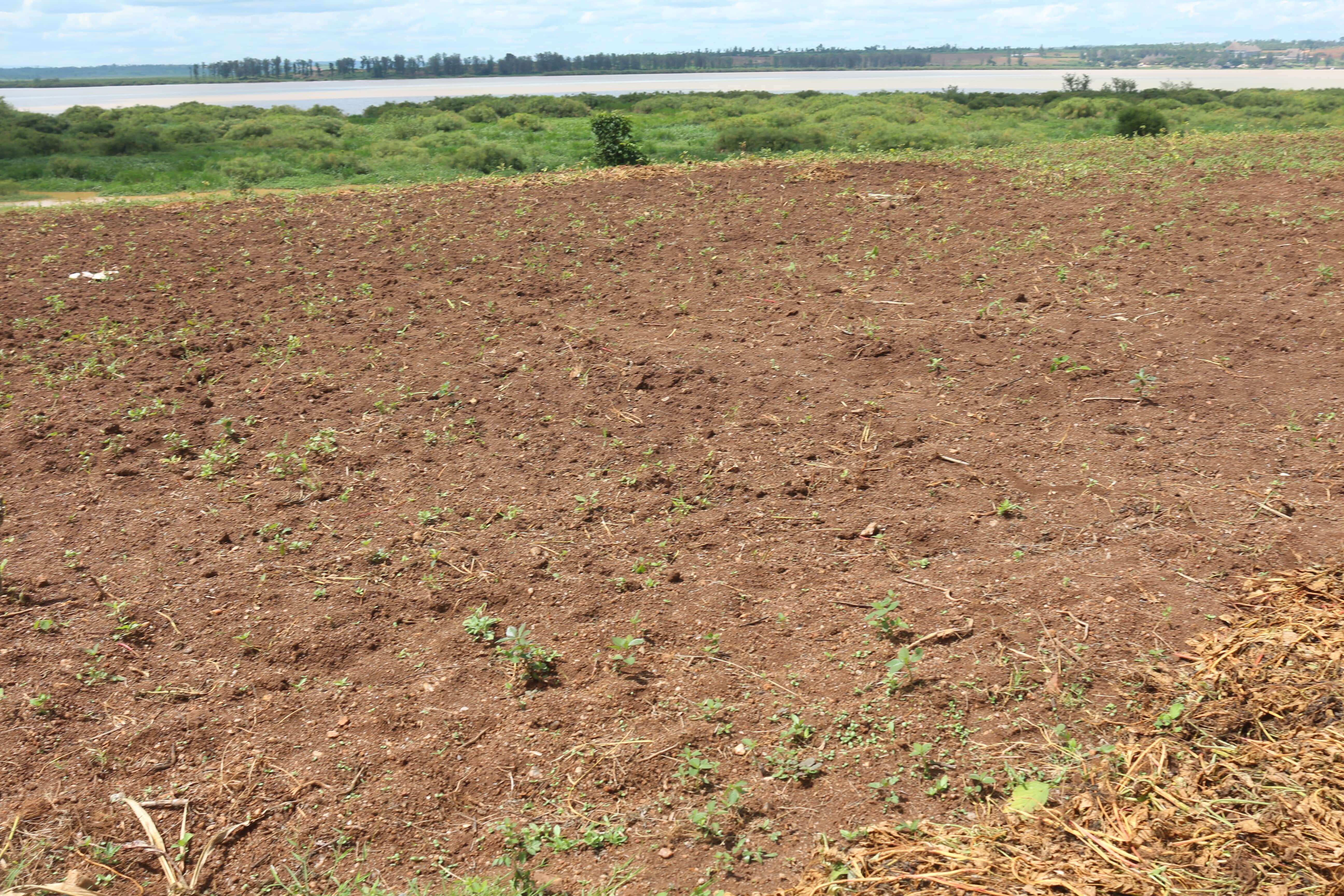 Land for sale in Gashora Bugesera Access on lake  Hot deal