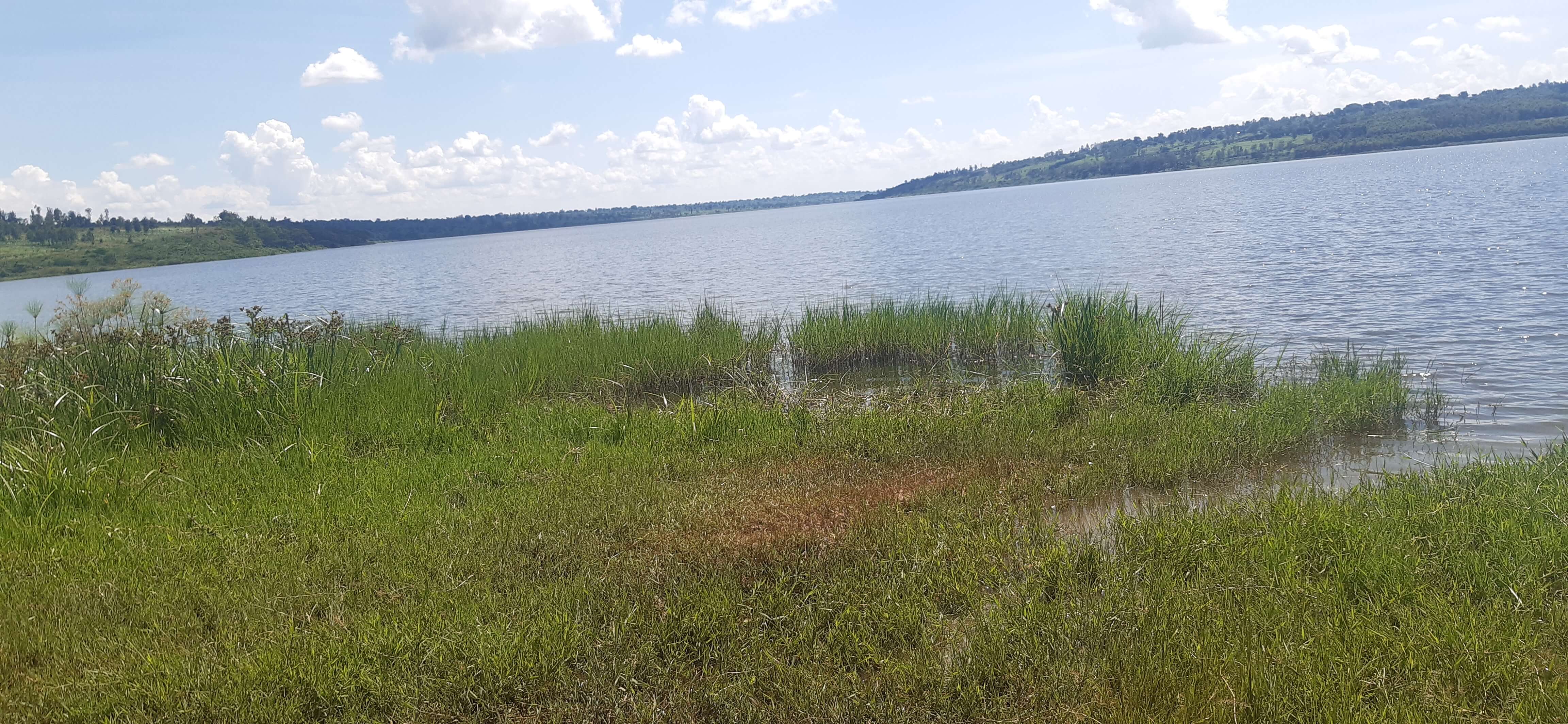Land for sale Bugesera near airport of Rwanda Hot Deal 1