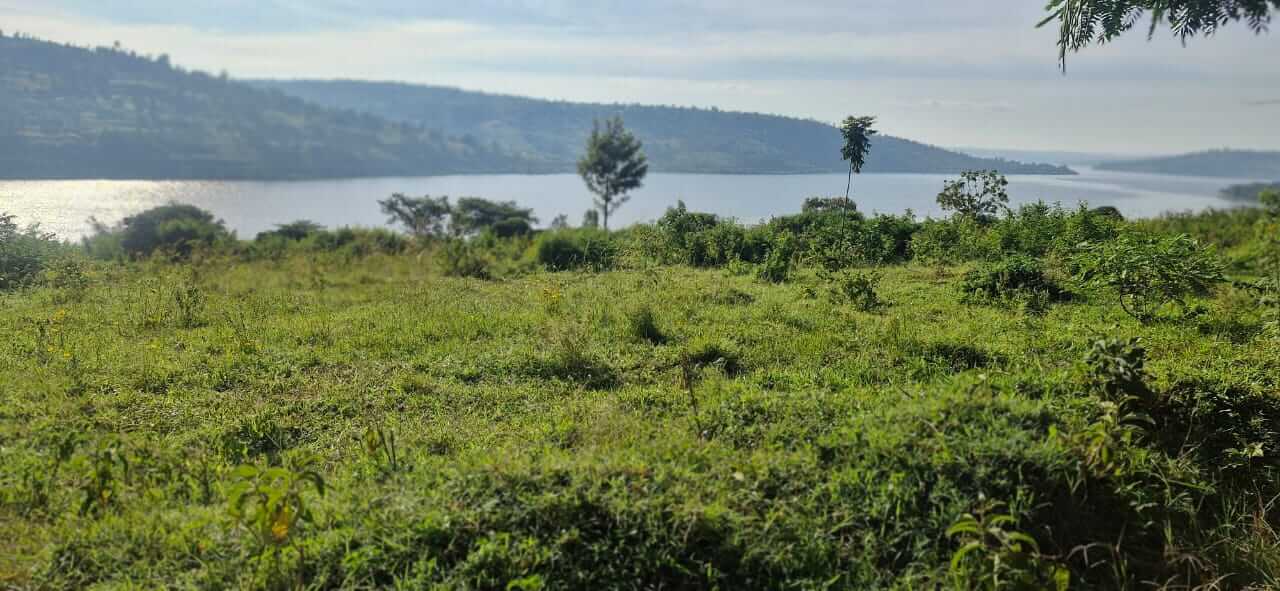 Land for sale in Muhazi in ecotourism and for Hotel Access on lake 1