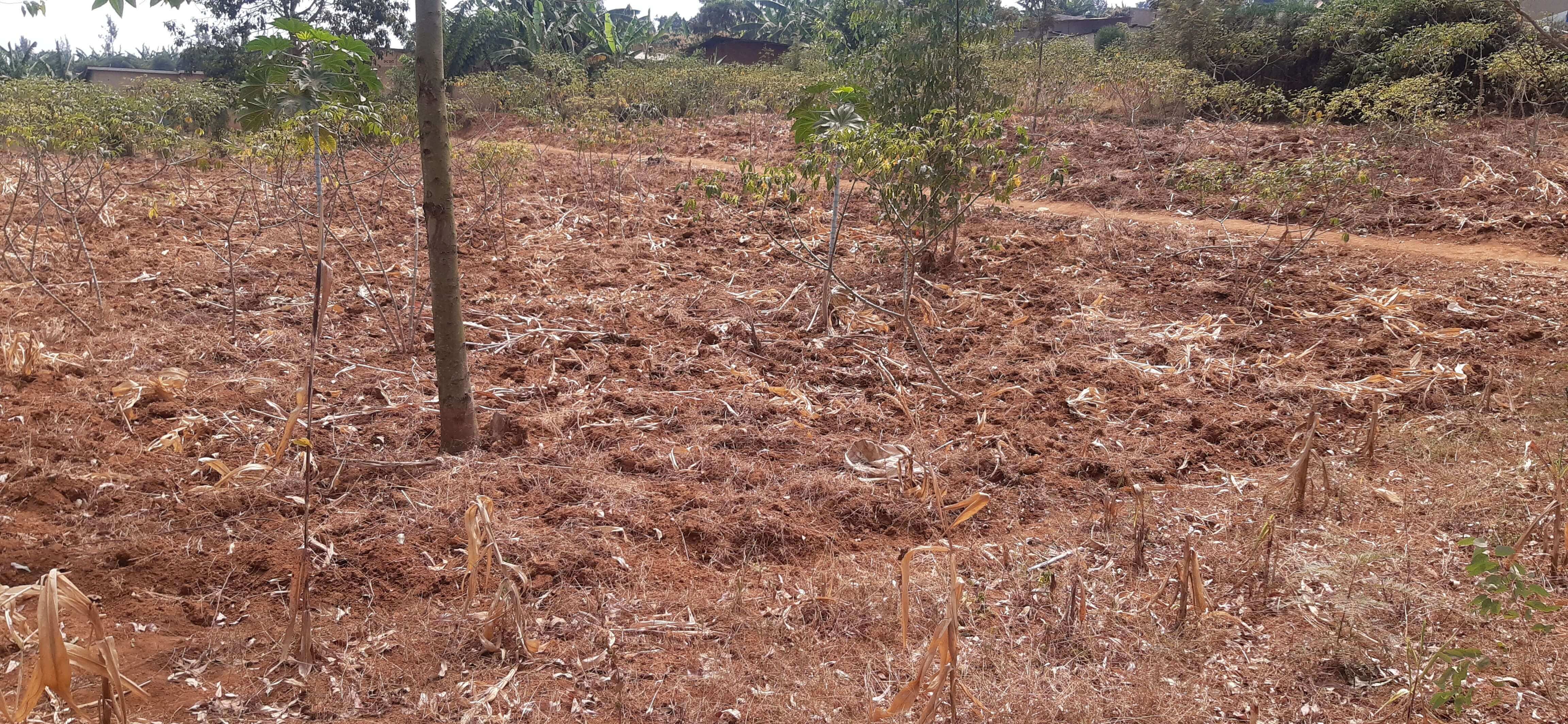 Residential plot for sale in Busanza kigali Rwanda