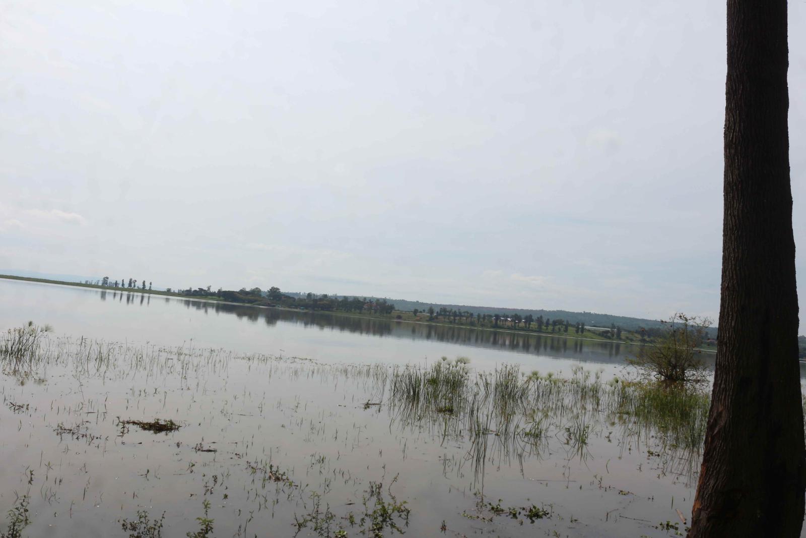 Land for sale near airport of Rwanda access on lake 3