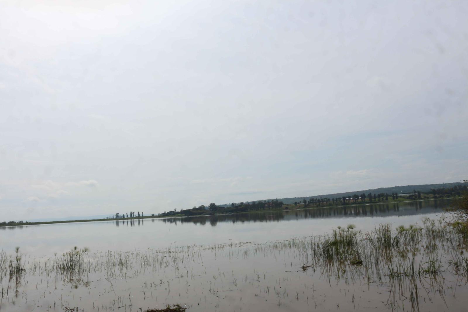 Land for sale near airport of Rwanda access on lake
