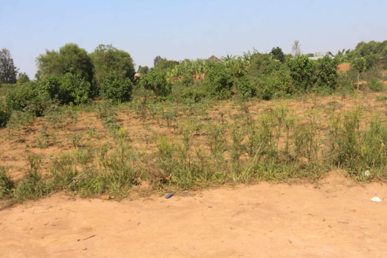 Plot for sale in Bugesera near airport of Rwanda