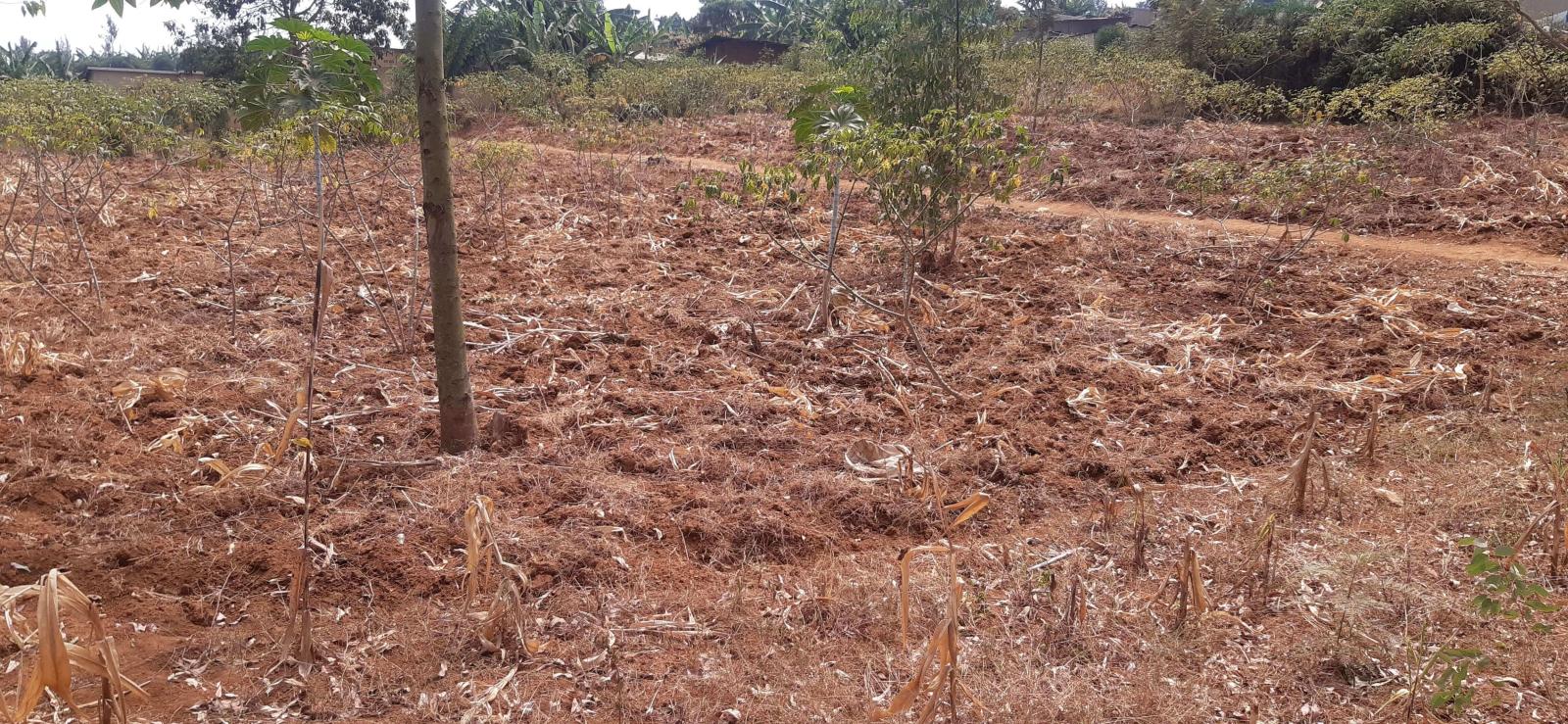 Residential plot for sale in Busanza Kigali Rwanda Hot deal