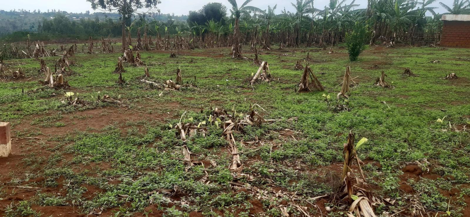 Plot for sale in Bugesera near airport of Rwanda