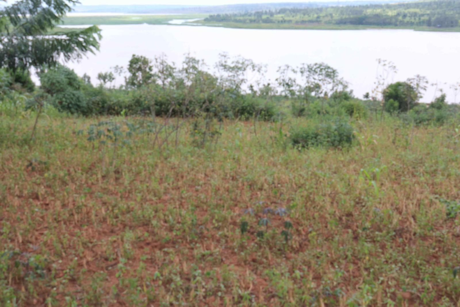 Land for sale in Bugesera RILIMA near airport of Rwanda Access on lake Good deal