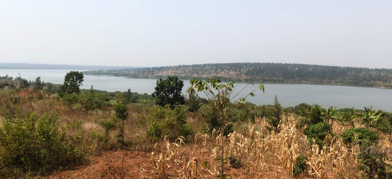 Land for sale in Ngoma access on lake Good deal