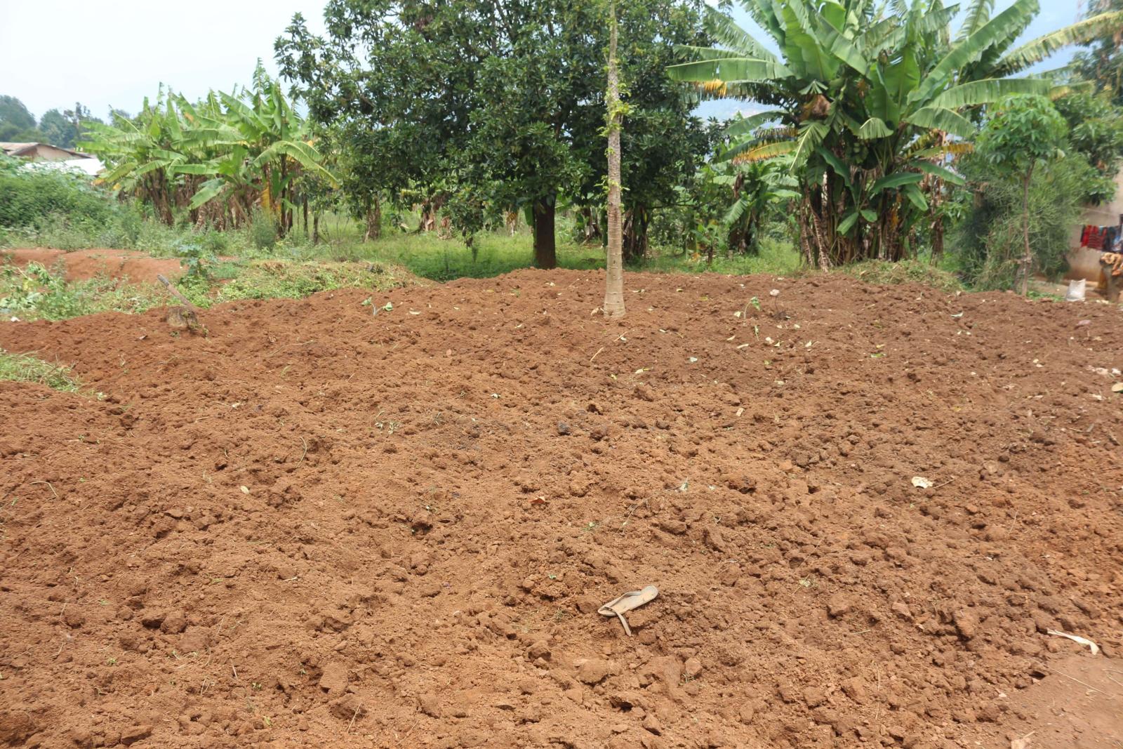 Industrial land for sale in Bugesera near airport of Rwanda hot deal