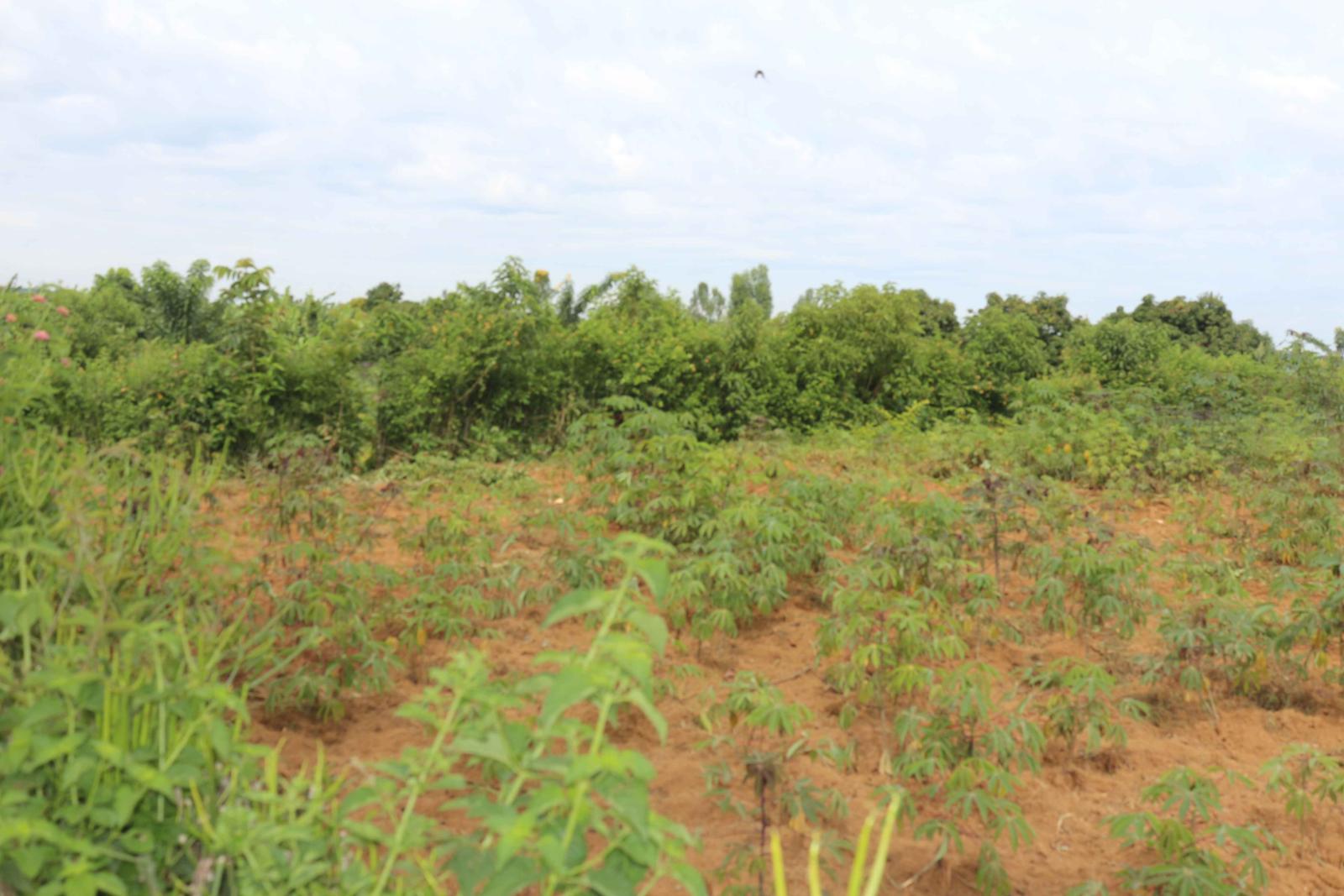 Commercial Plot for sale in Kigali Nyarugenge Shyorongi Good deal