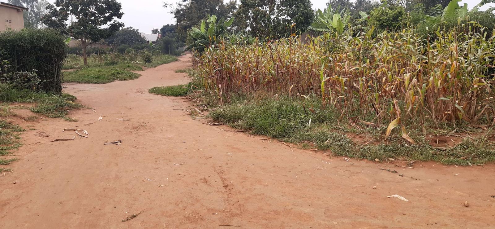 Industrial land for sale in Bugesera near airport of Rwanda good deal